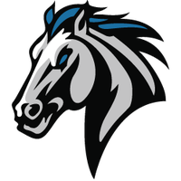 Straus logo