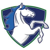 Steubing logo