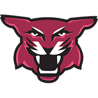Stevenson logo